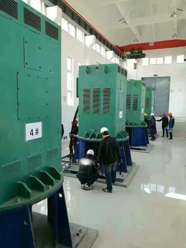 加格达奇某污水处理厂使用我厂的立式高压电机安装现场