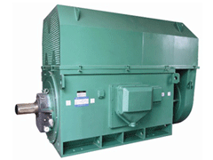 加格达奇Y系列6KV高压电机